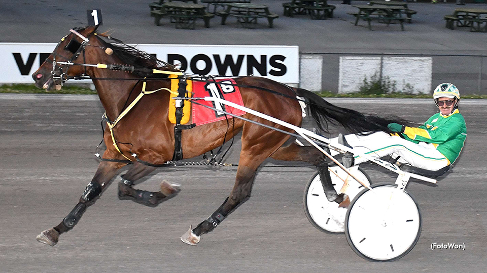 Joxter Scores In Vernon Open Joxter Scores In Vernon Open