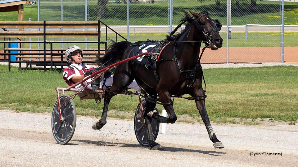 Pacing Fillies Seek Kin Pace Glory  Pacing Fillies Seek Kin Pace Glory