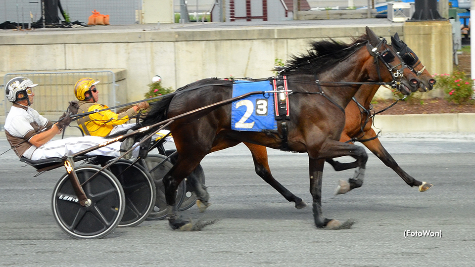 Repeat Winners In DSBF Prelims