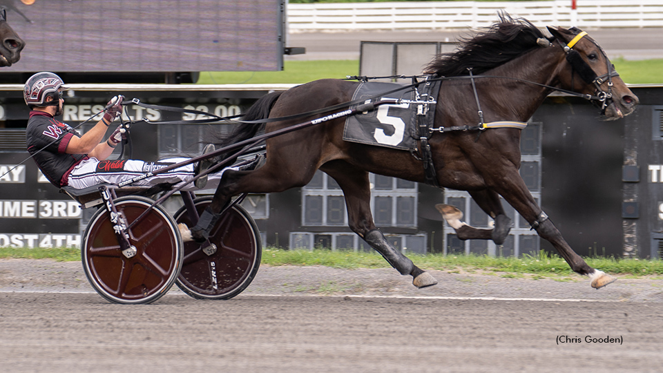 Lockbox Wins Meadows Open Trot