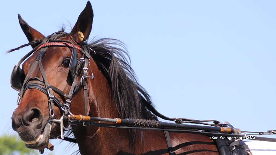 Cancelliere, Norman Rookies Shine At Magical Acres