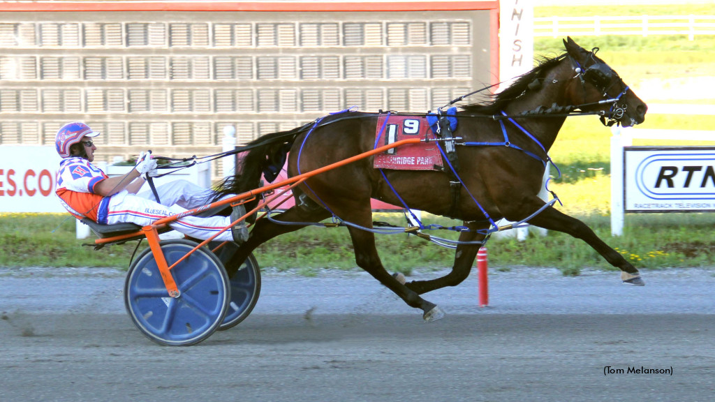 Plainridge Grand Slam For Lord Magnetic 