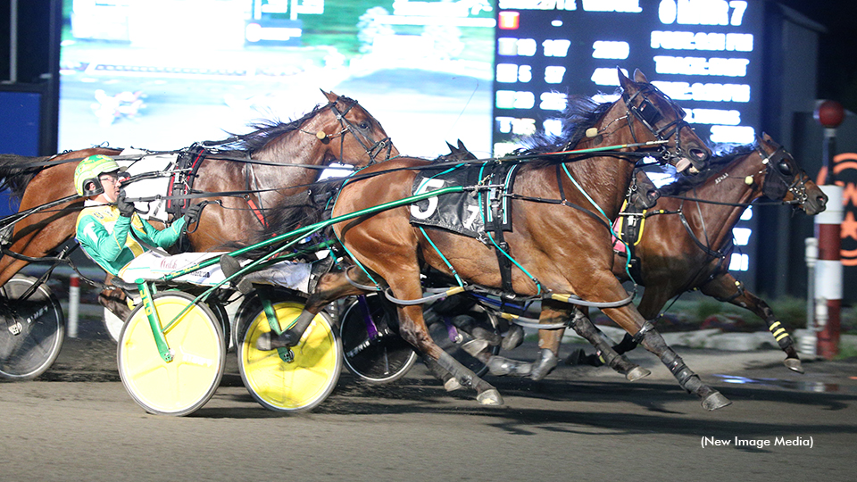 Lyons Sentinel Aims For A Roses Are Red Repeat