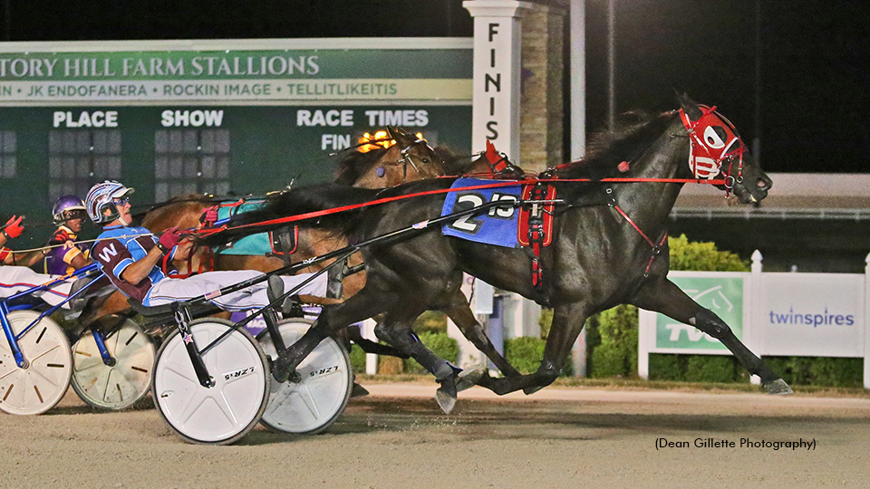 M Ms Dream Scores Sires Stakes Triple