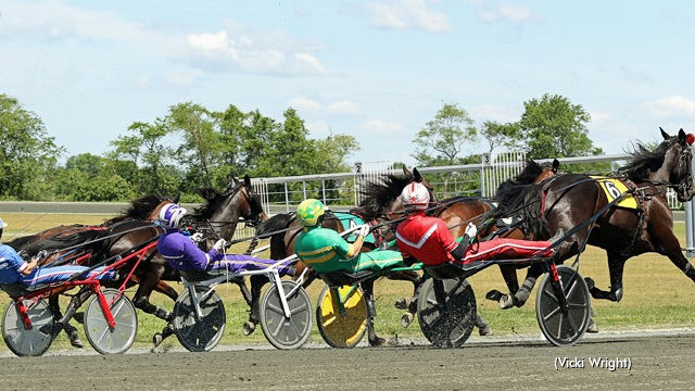 Live Streams For Gaitway, Magical Acres Qualifiers