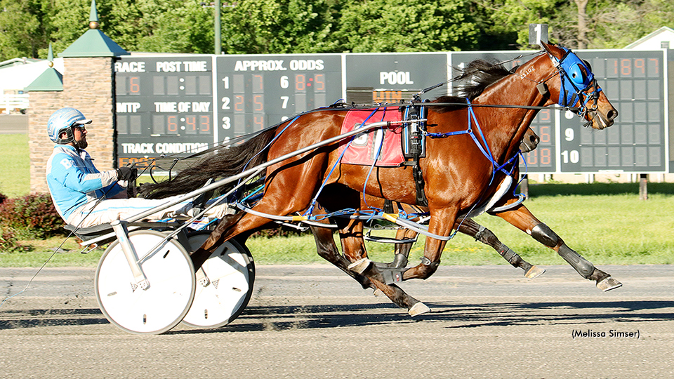 Mikibytheseaside Swoops To Win In Saratoga