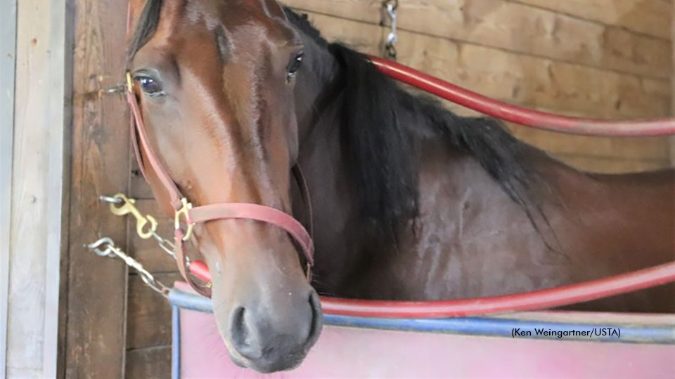 Quick Starts Are Money In The Bank For PJ Lou