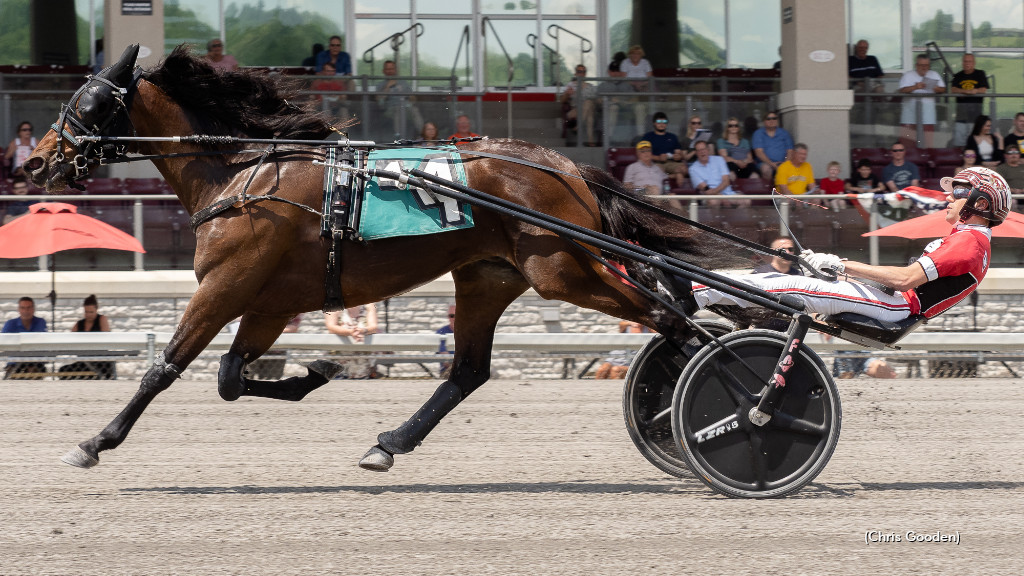Which Palermo Hanover Will Show Up?