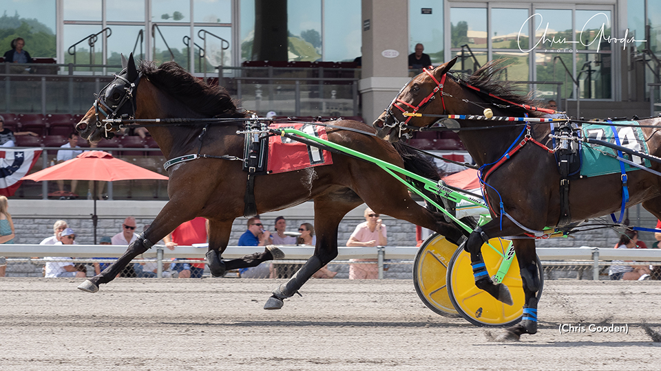 'Palermo' Equals Stakes Record In Currier & Ives