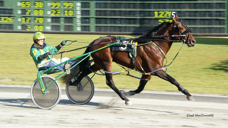 Nova Scotia Stake Renamed To Honour Pinkney