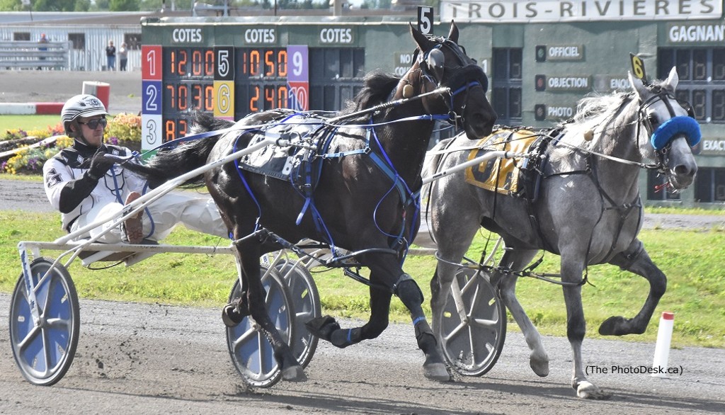 Platine Alpha 3R's Queen Of Pace