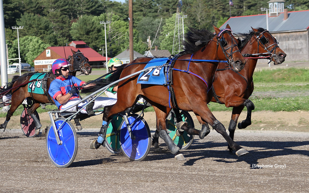The Harringtons Win Three At Cumberland