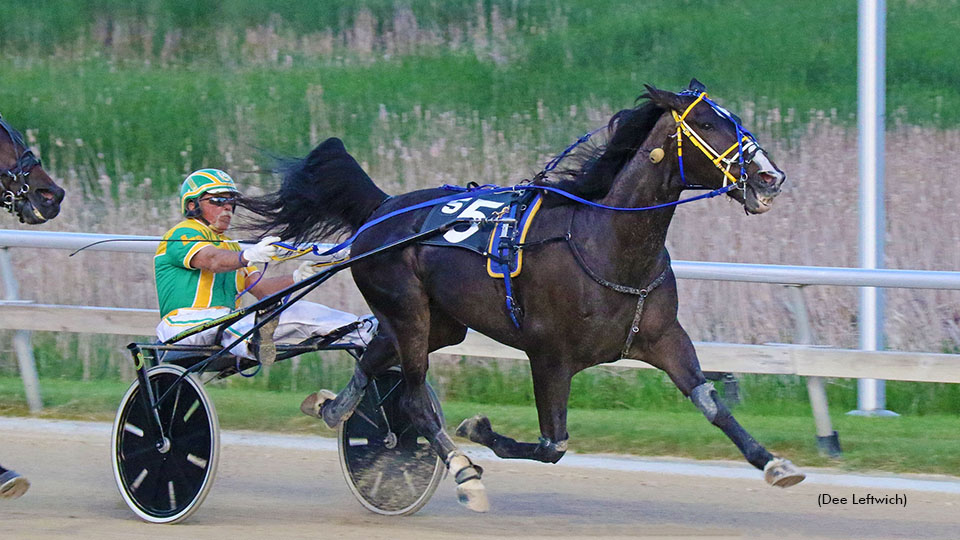 Pridecrest Eyes Another Budahn Trophy