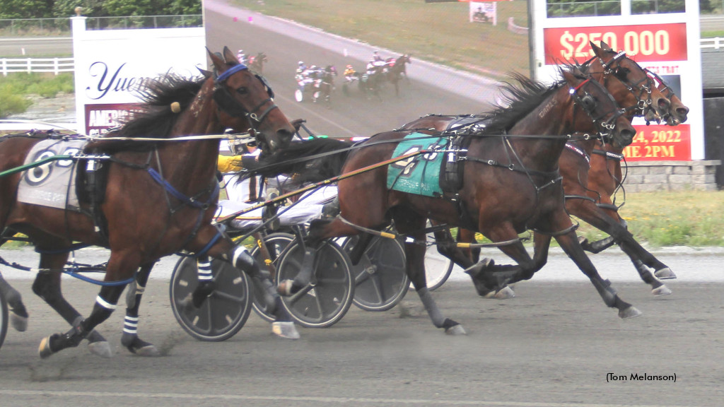 Probert Scores In Plainridge Blanket Finish