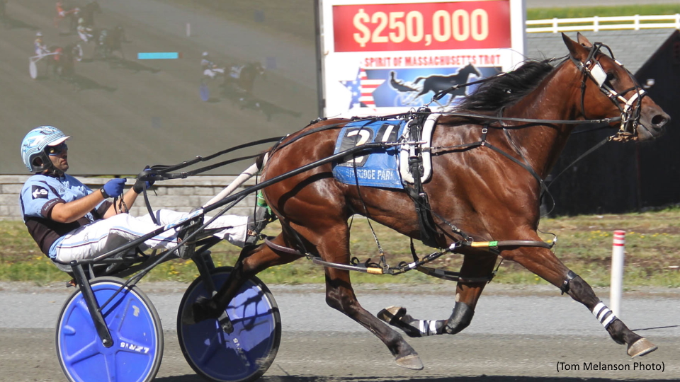 Quarrel, Delightful Virgin Win Plainridge Main Events