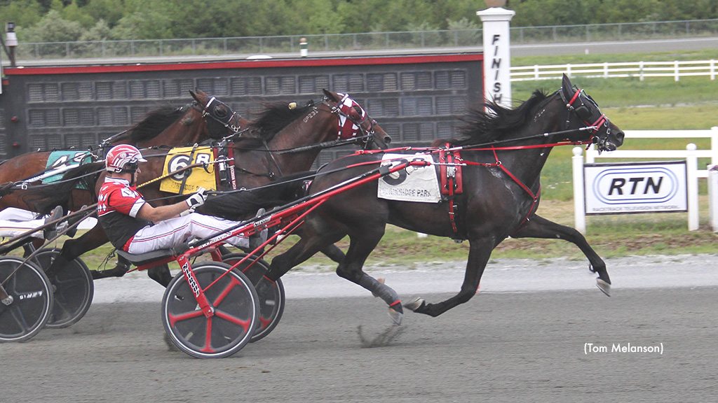 Raybarnz Takes Career Mark In Plainridge Top Trot