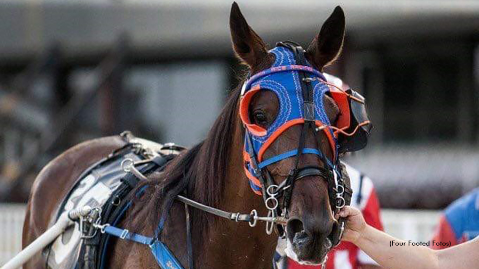 Rock It Out Rocks On