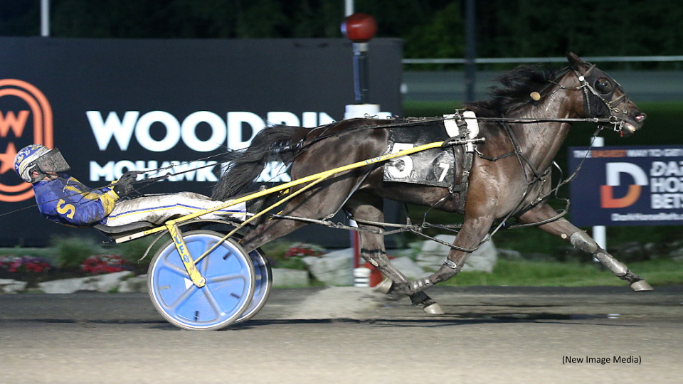 Saulsbrook Olympia Bounces Back In Pop Up Series