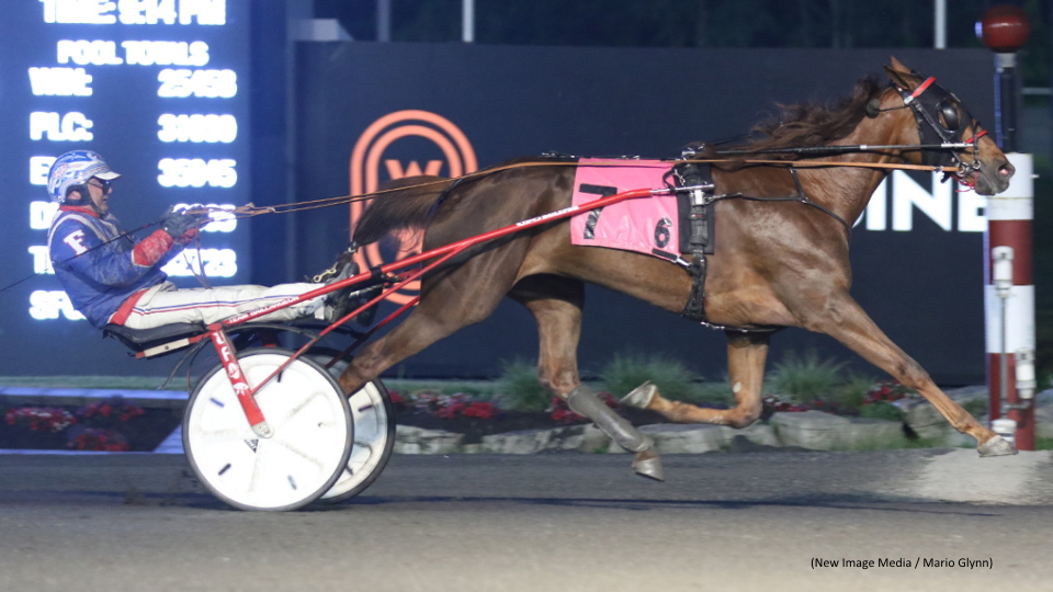 Saundra In A Golden Shocker