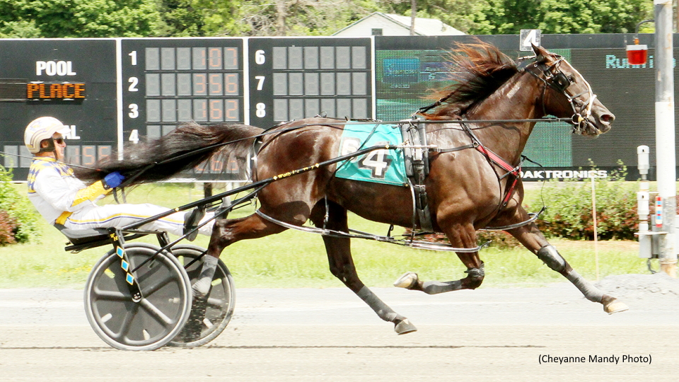 Sea Shadow Strikes In Saratoga Mares Open