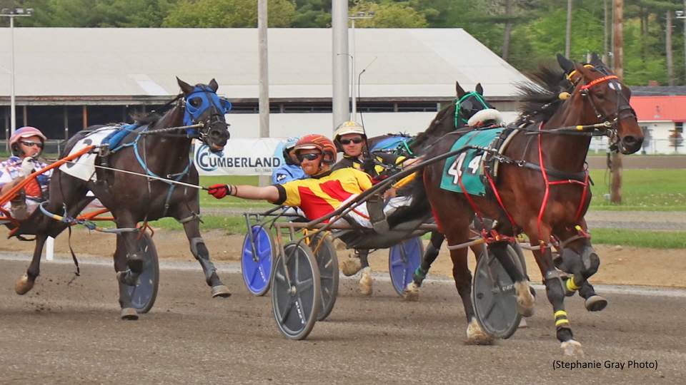 Ivory Pine Group High On Maine Harness Racing