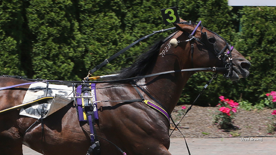 Hennessey Sweeps Tioga Opens