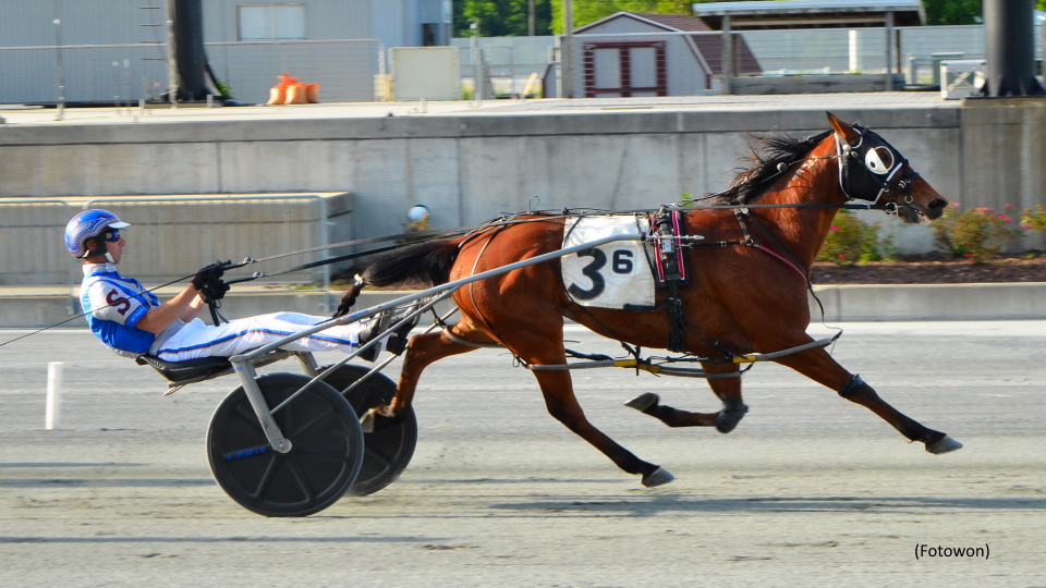 Starship Upsets In Harrington Open