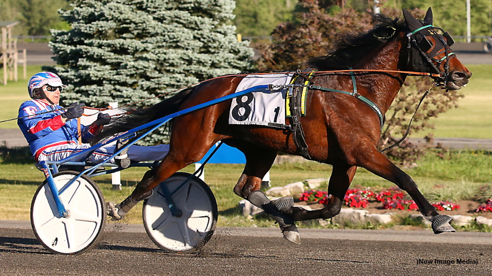 Stormont Success In Grassroots; Pop Ups Underway