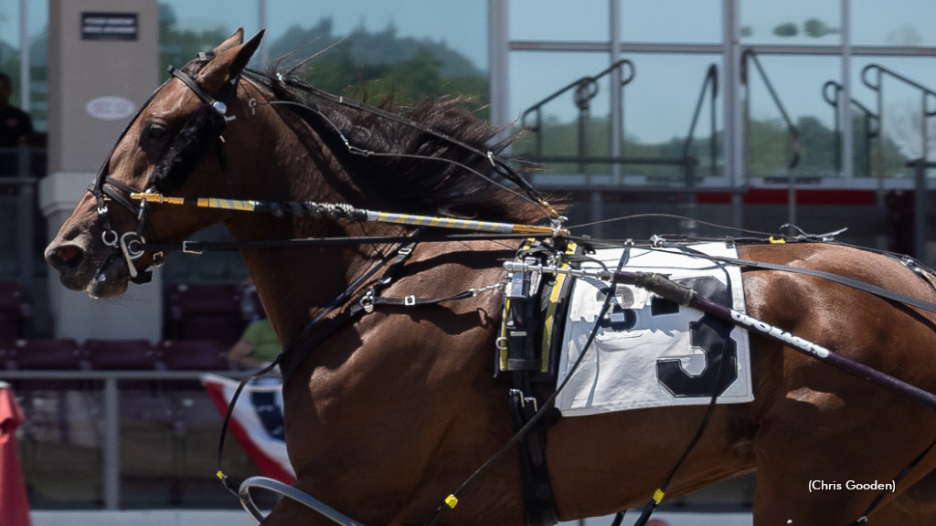 Strong Poison, 'Calliope' Wins Meadows Series Splits
