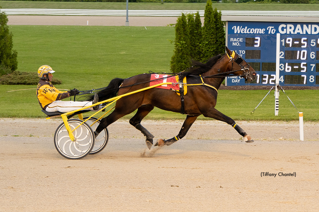 Thomas P Two Tops At Grand River