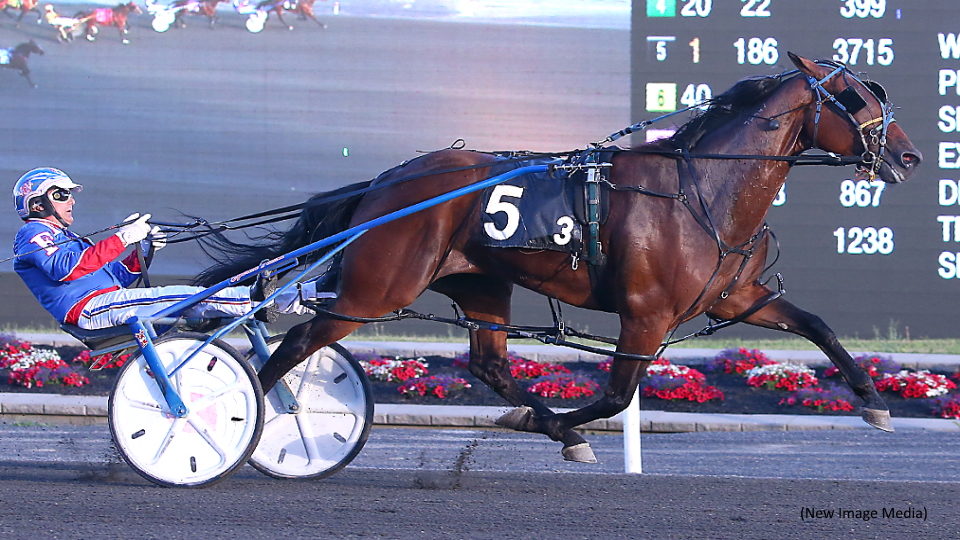 Pacers Trade Punches In Pop Up Series