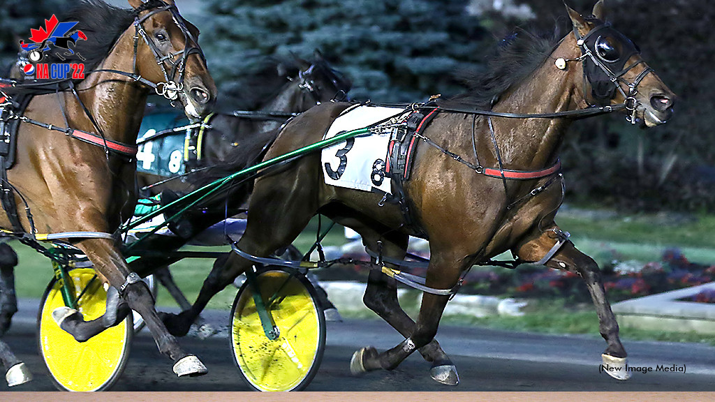 Treacherous Dragon Too Hot In Fan Hanover