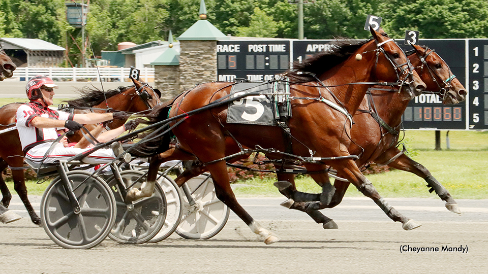 Twin B Deluxe Tops Saratoga NYSS