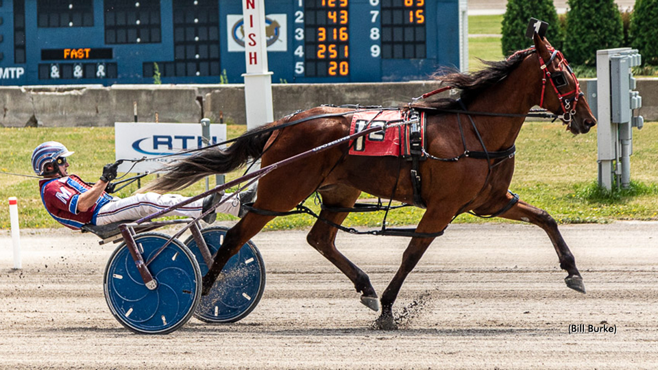 Vivians Dream Hopes For Déjà Vu In Sire Stakes Start