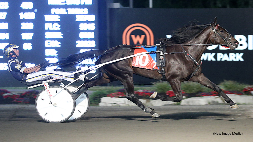 Warrawee Xenia Continues To Impress