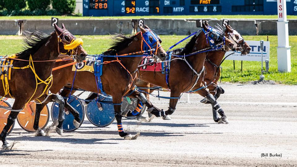Weekend Atnannies Best At Buffalo