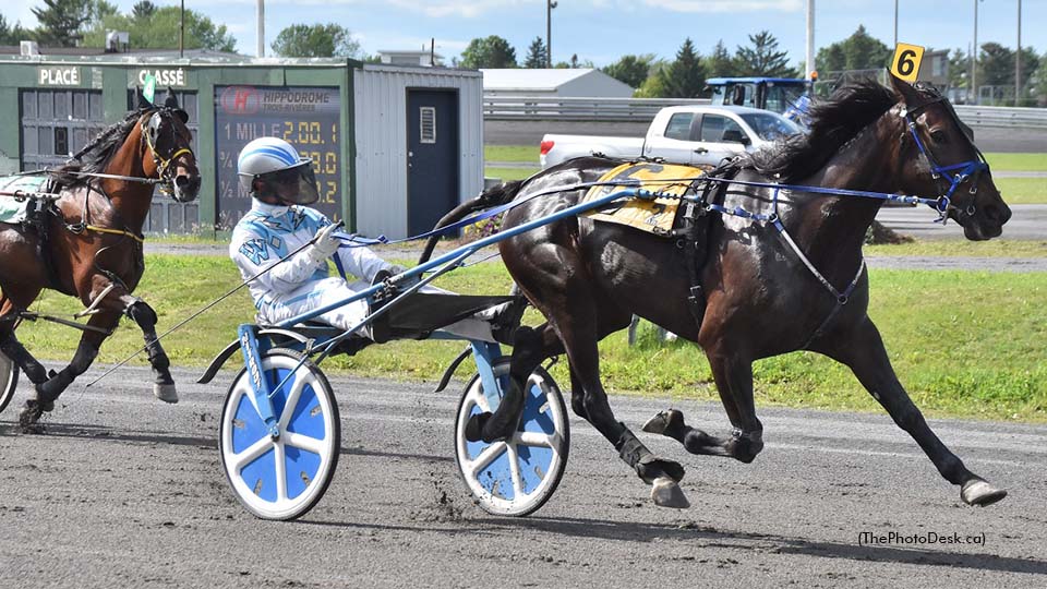 X O X O Repeats In 3R Preferred Trot