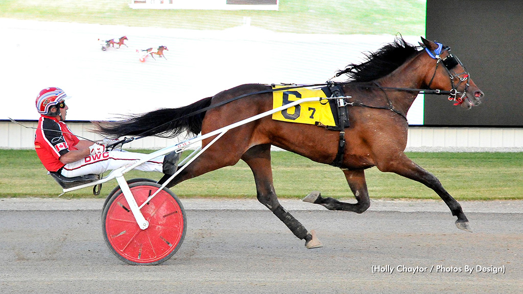 Grassroots Opens For Freshman Trotting Fillies