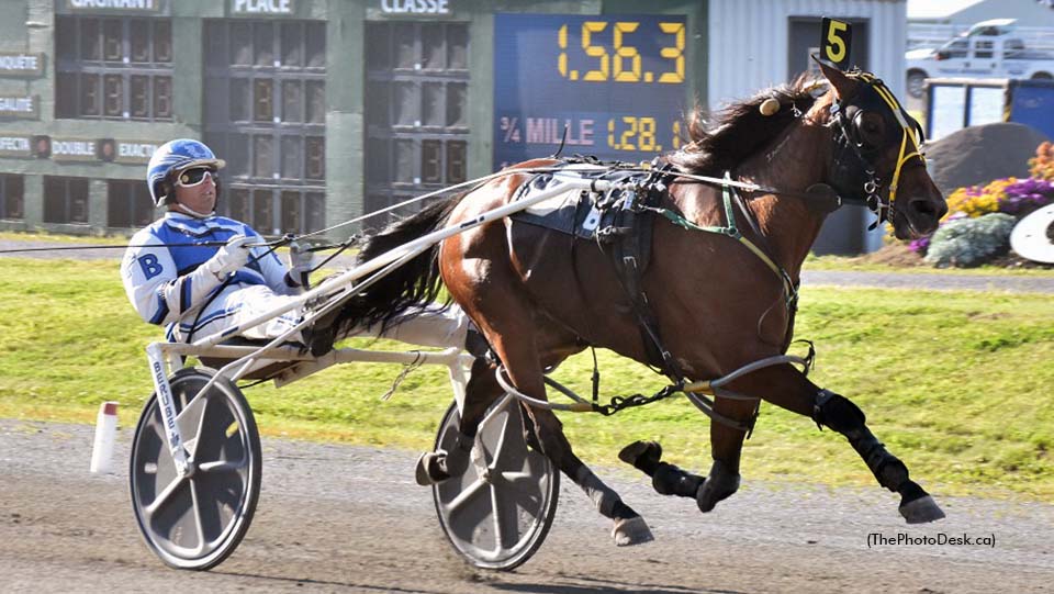 Preferred Winners Headline 3R Friday Card