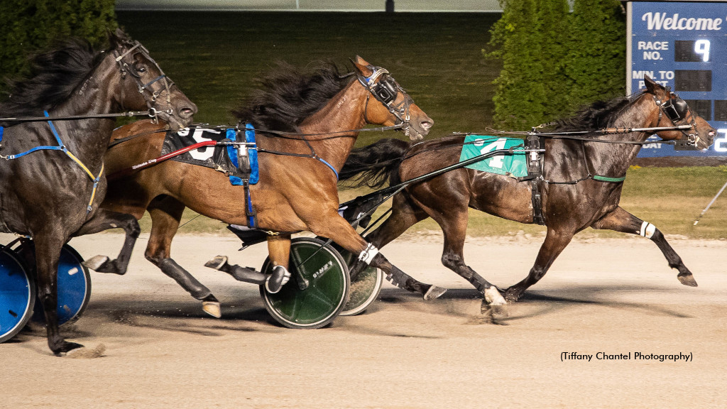 Aussie Lover A Popular Preferred Winner 