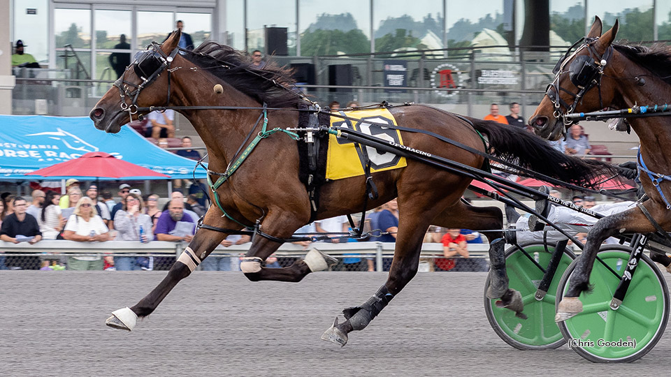 Freshmen Shine In Grand Circuit Stakes On Adios Eve