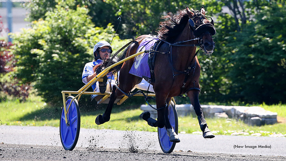 Roy's Rookies Go For Grassroots Glory