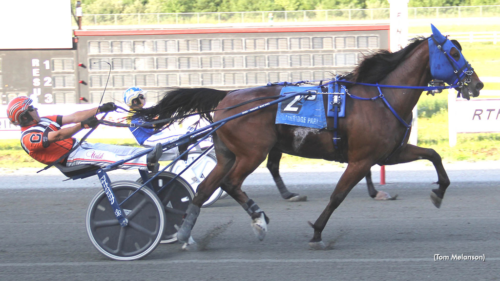Blue Knight Goes Lifetime Best At Plainridge