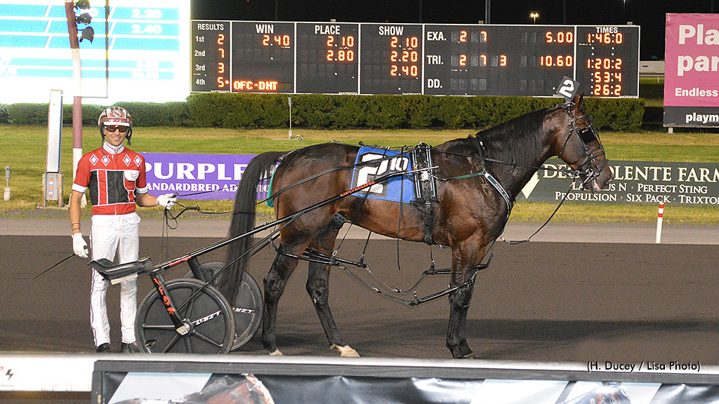 Darling In Awe Of Bulldog Hanover