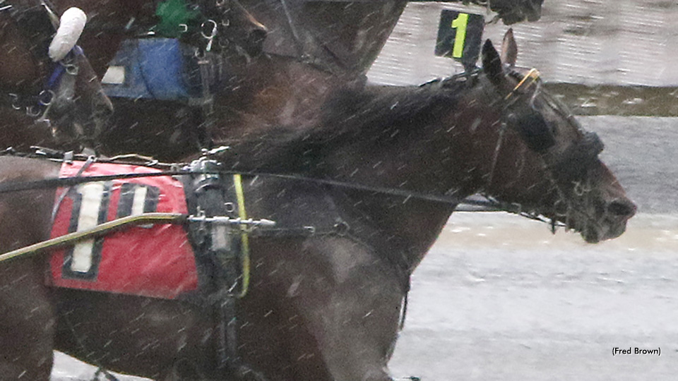 Buzzer Debuts In Style At Tioga