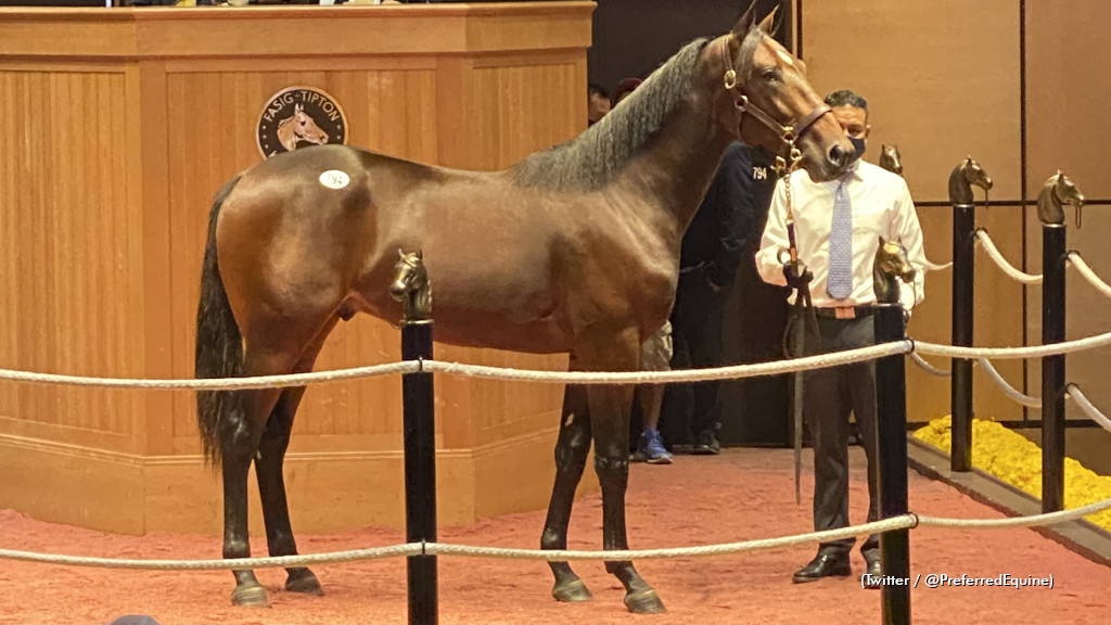 Bythemissal Steps Up Saturday