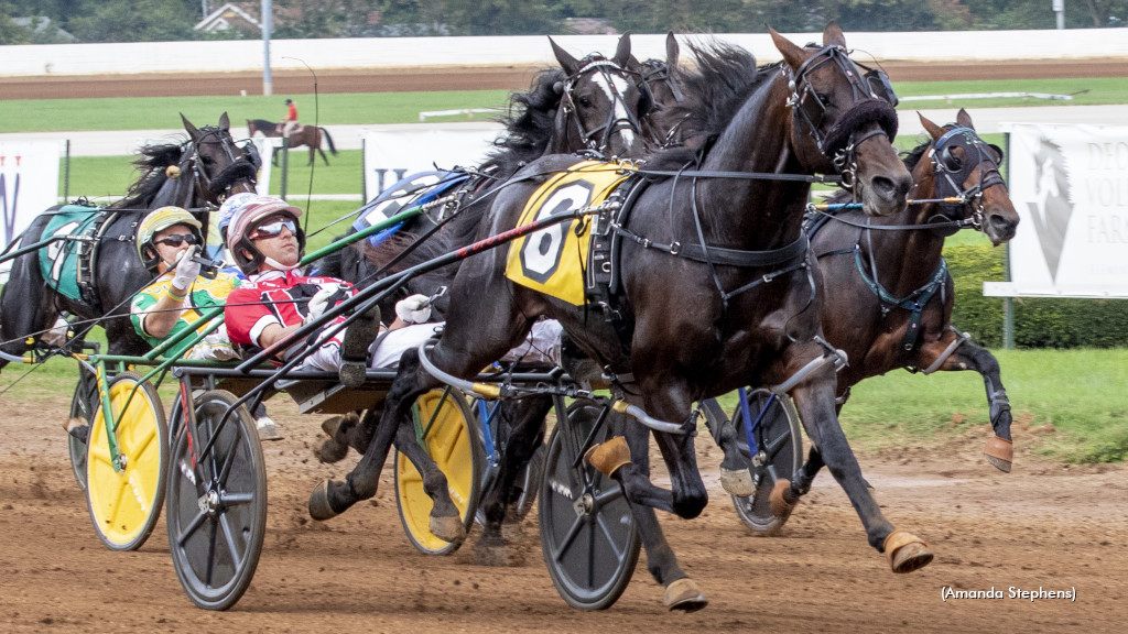Svanstedt Seeks Rare Pace-Hambo Double