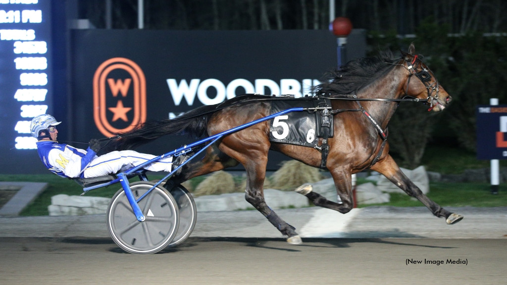 Steacy Barn Seeks Big Weekend