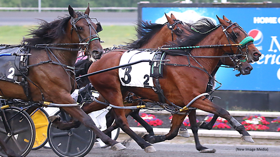 Rookie Fillies Spar In Gold Divisions