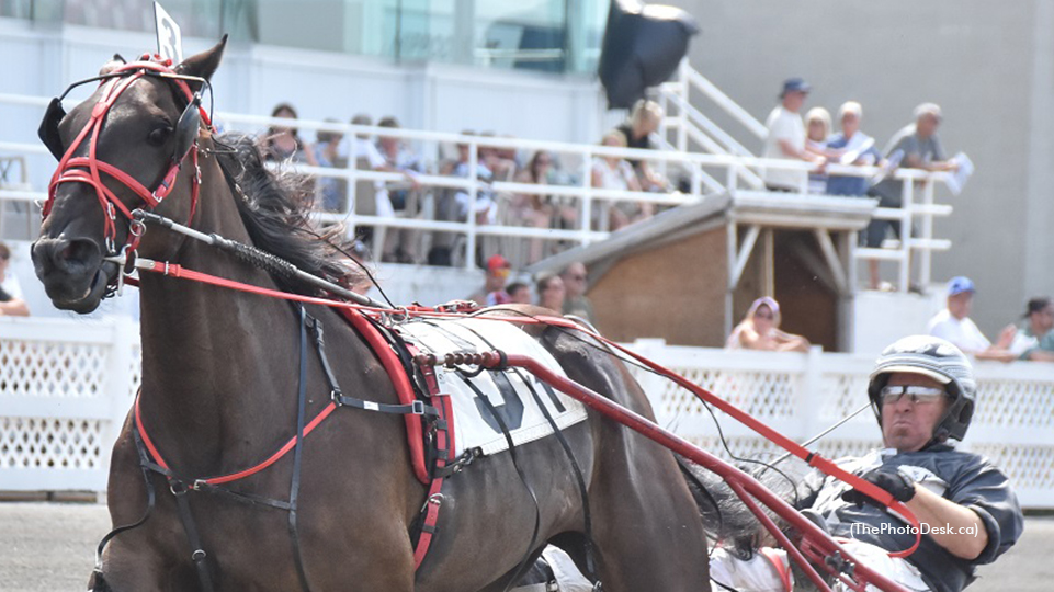 Sophomores Shine In Quebec Stakes Sophomores Shine In Quebec Stakes
